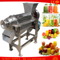 Ginger Pineapple Lemon Carrot Watermelon Grape Juicer Juice Extractor Machine